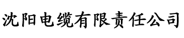 国精产品一区一区三区有限公司杨电缆厂logo